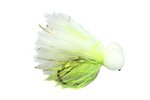 Fario Fly Barbless Gold Arse Cat Booby
